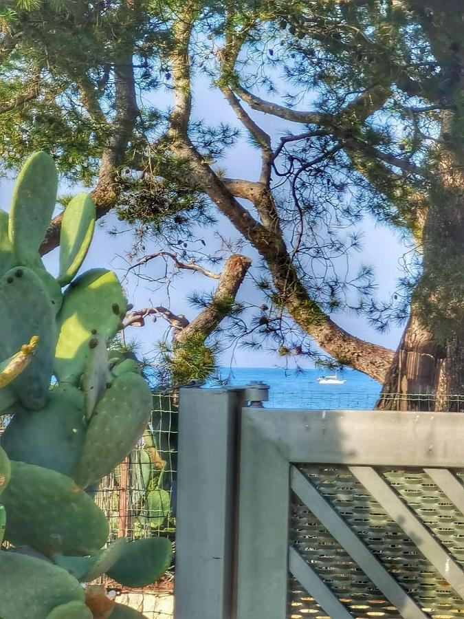 Willa Trullo Seaside Polignano Polignano a Mare Zewnętrze zdjęcie